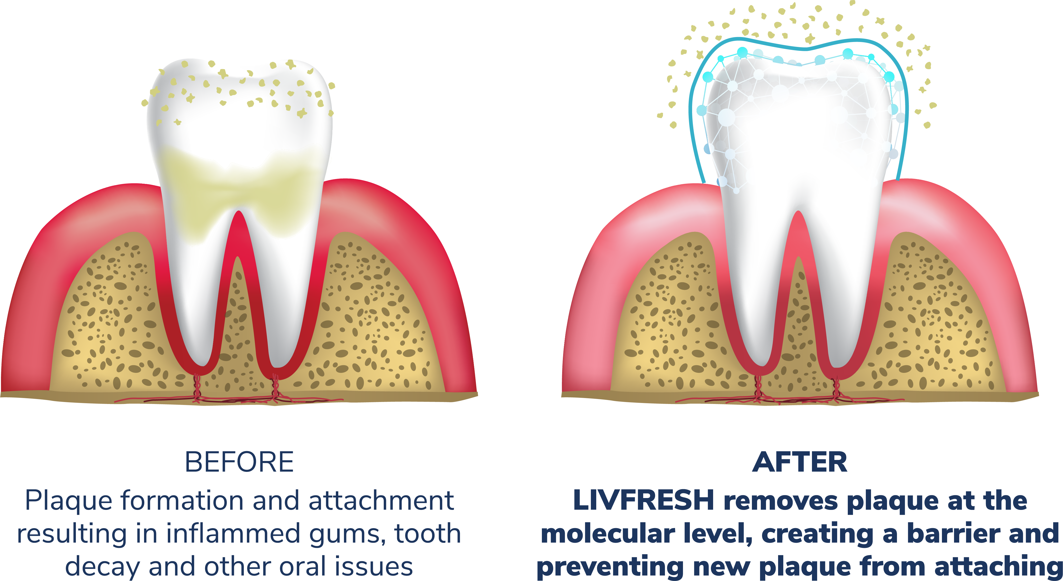 How the molecular clean works