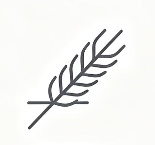 02-sync-f034f383c6.avif