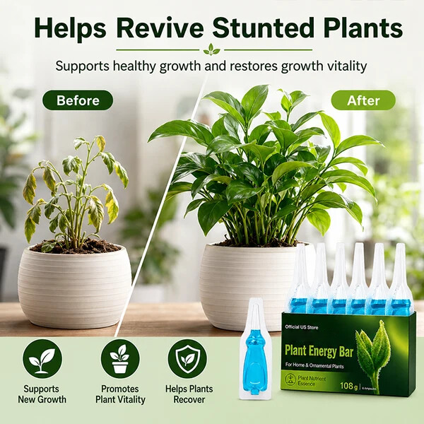 Official US Store  curveveramax.com® Plant Energy Bar
