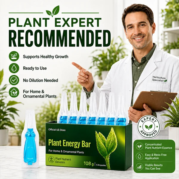 Official US Store  curveveramax.com® Plant Energy Bar